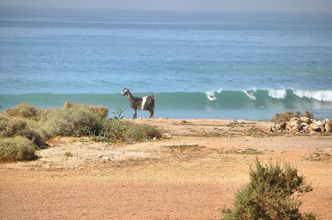 Manzili Surfhouse Tamraght Exterior foto
